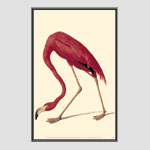 25% Off Frames