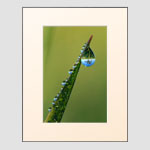 Popcorn 11 x 14 Format Frame